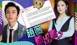 娱乐圈乱象爆料合集小说,揭秘幕后真相与暗流涌动